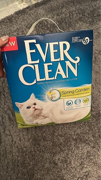 Ever clean