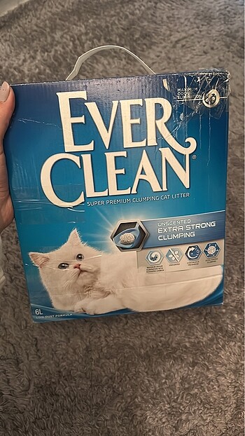 Ever clean