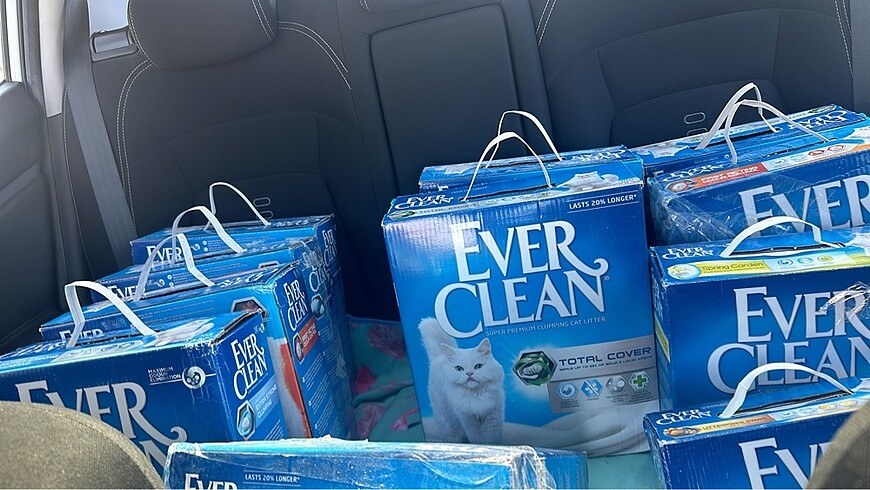 Evet clean