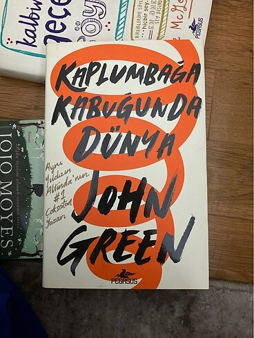 kaplumbağa kabuğunda dünya