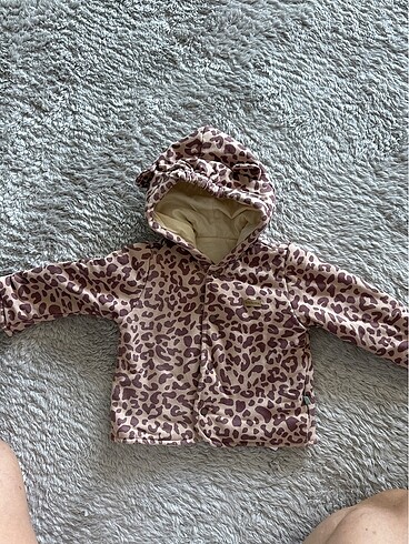 Kiti kate koz bebek montu