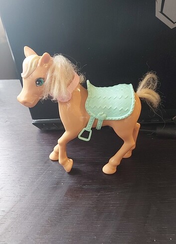 Pony at