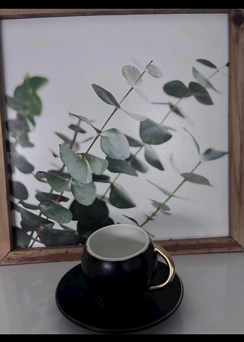 Siyah ve Altın Kulplu Fincan ve Tabak - Görsel 2