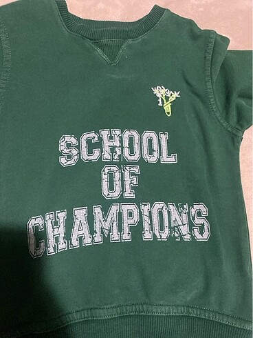 Diğer Doğa koleji Sweatshirt