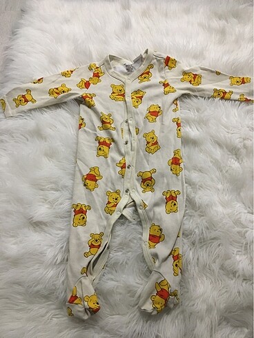 Winnie the pooh