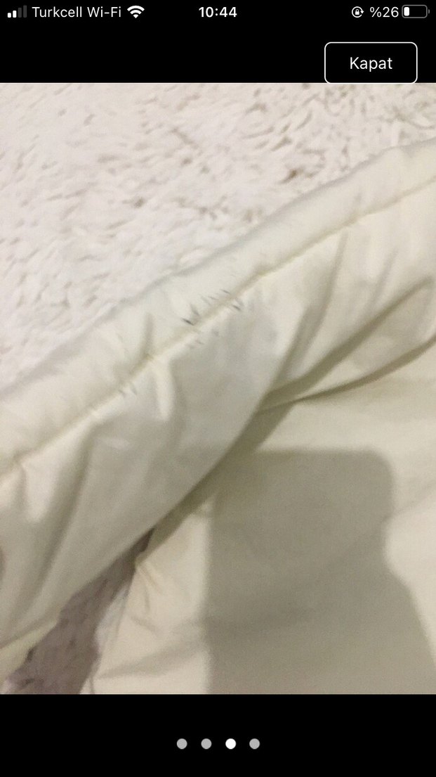 Kapüşonlu Kürklü Nakışlı Bebek Tulumu - Görsel 4