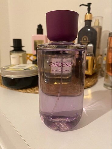 ZARA GARDENIA