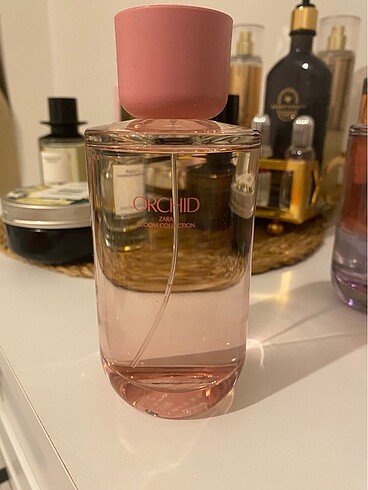 ZARA ORCHID