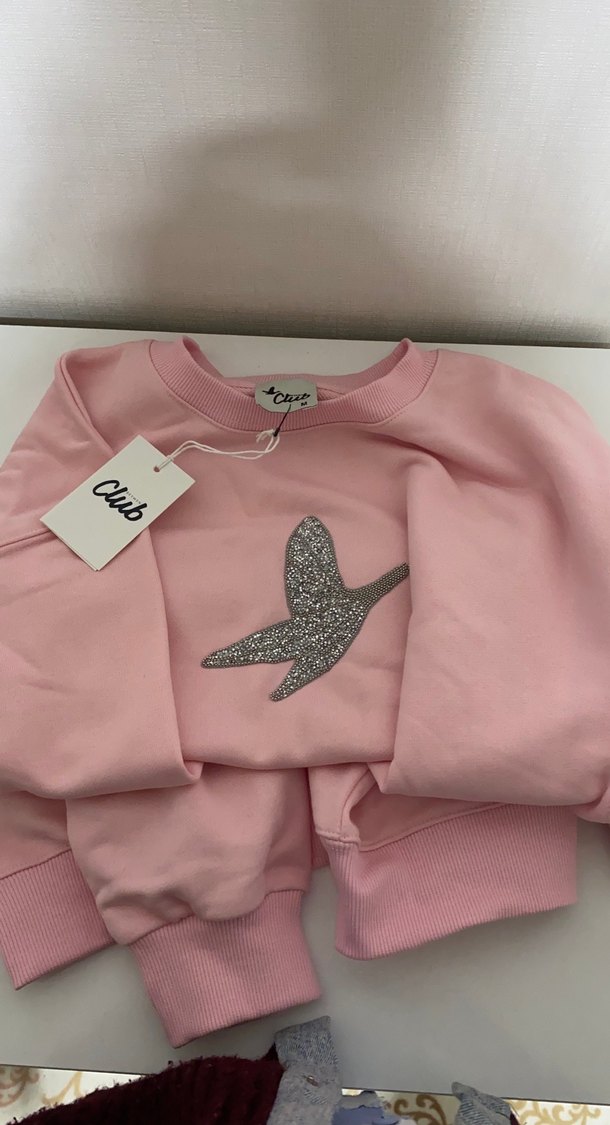 Pembe Pul İşlemeli Kız Sweatshirt - Görsel 2