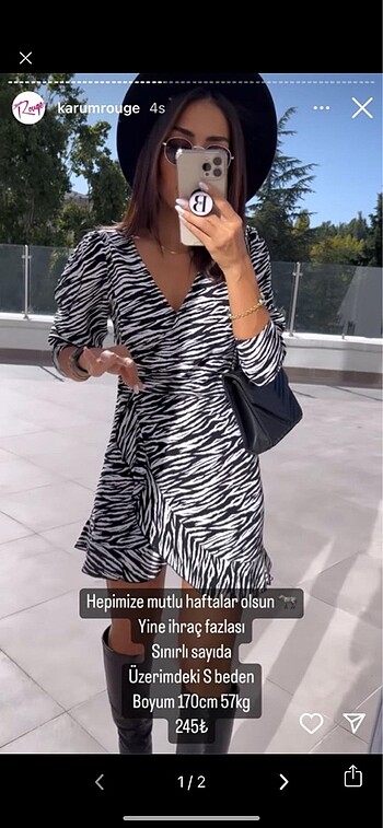 Zebra elbise