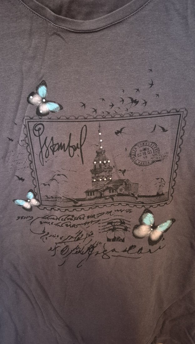 Kız Çocuk Gri Baskılı Kısa Kollu Tişört - Görsel 2