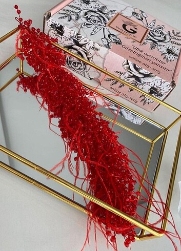 Kina taci - Görsel 3