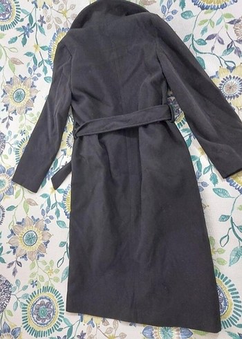 Siyah Kemerli  Kaban - Görsel 5