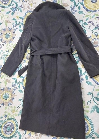 Siyah Kemerli  Kaban - Görsel 4