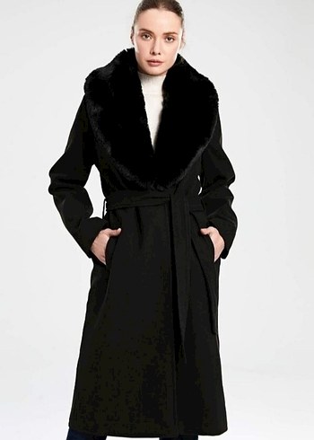 Siyah Kemerli  Kaban - Görsel 2