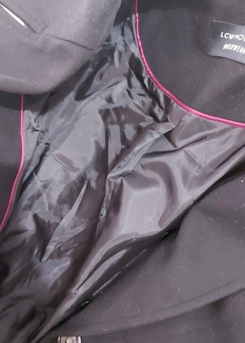 Siyah Kemerli  Kaban - Görsel 6