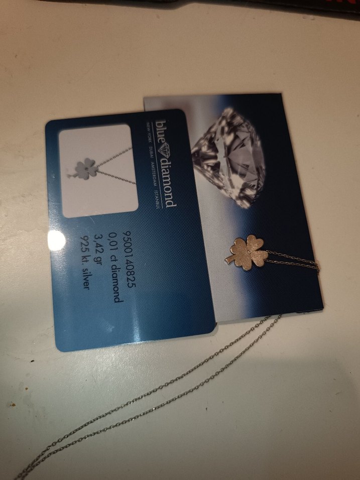 Gümüş Mini Yonca Kolye - Görsel 2