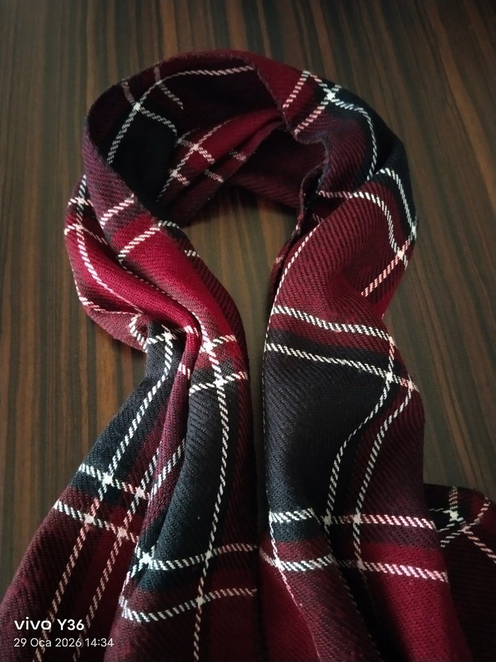 Ekoseli Erkek Atkı - Görsel 2