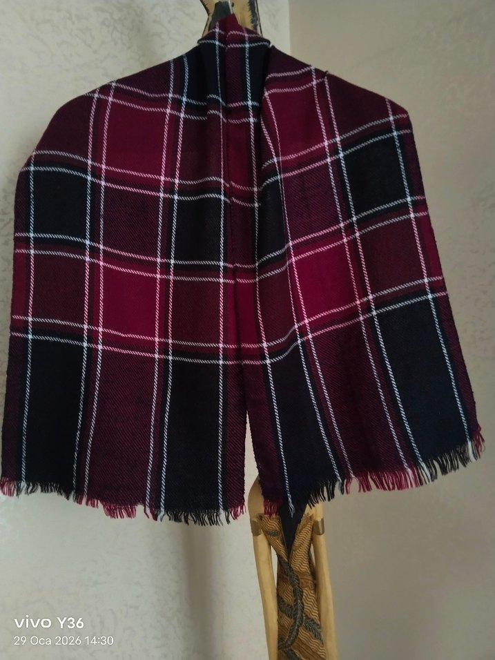 Ekoseli Erkek Atkı - Görsel 3