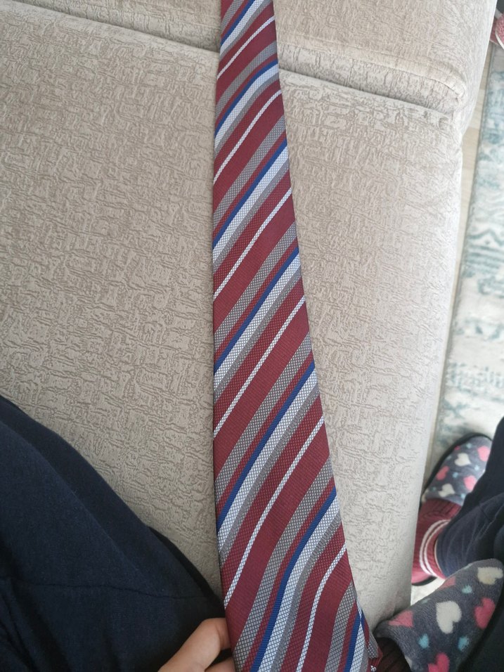 Çok Renkli Çizgili Erkek Kravat - Görsel 3