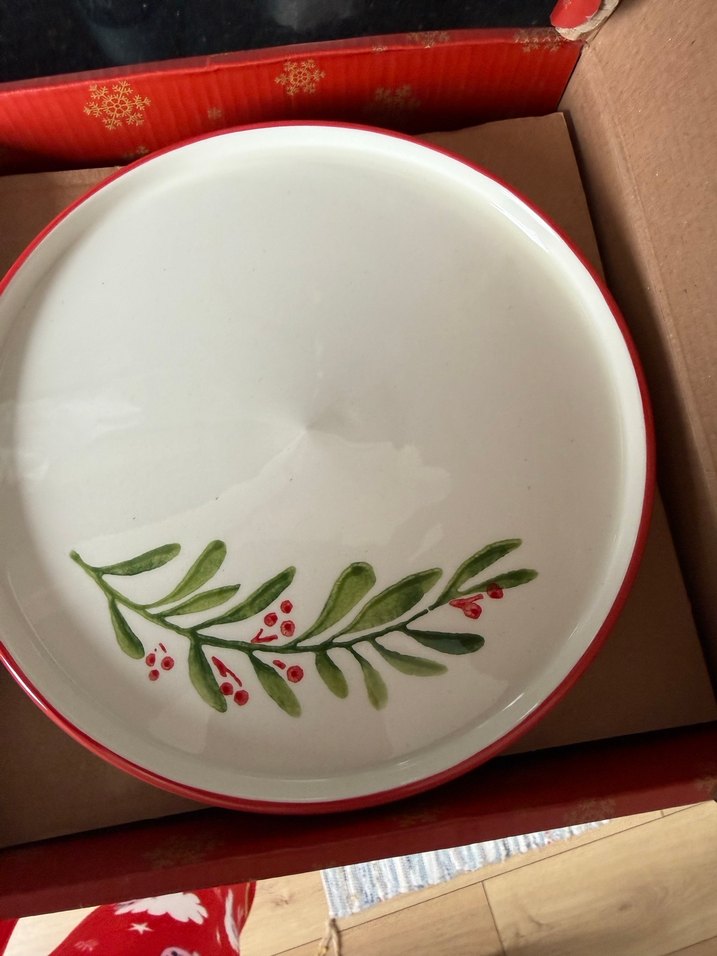 Kırmızı 4 Parça Yemek Tabağı Seti - Görsel 4