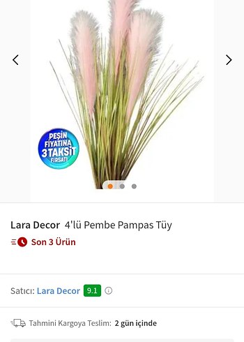 Bej Dekoratif Kuru pampas Aranjmanı - Görsel 6