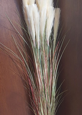 Bej Dekoratif Kuru pampas Aranjmanı - Görsel 5