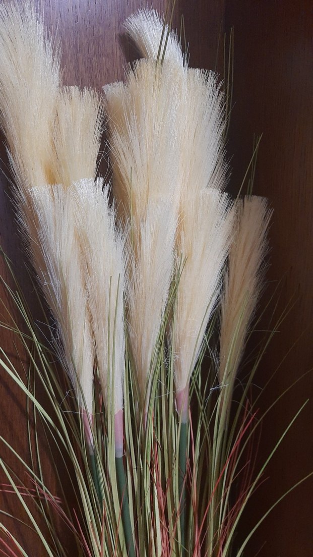 Bej Dekoratif Kuru pampas Aranjmanı - Görsel 2