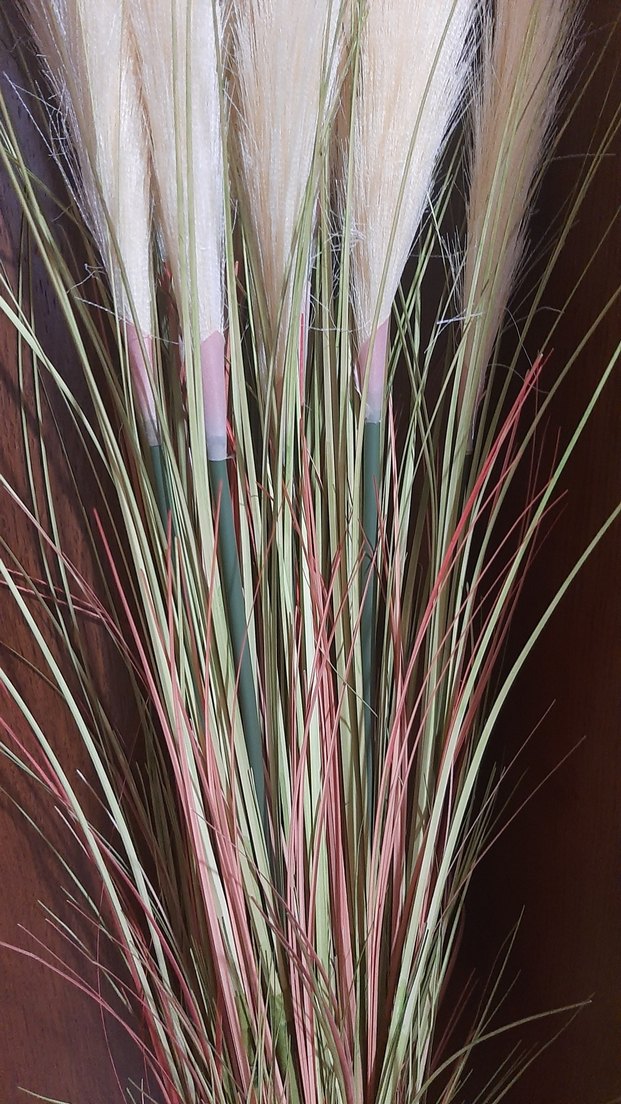 Bej Dekoratif Kuru pampas Aranjmanı - Görsel 3