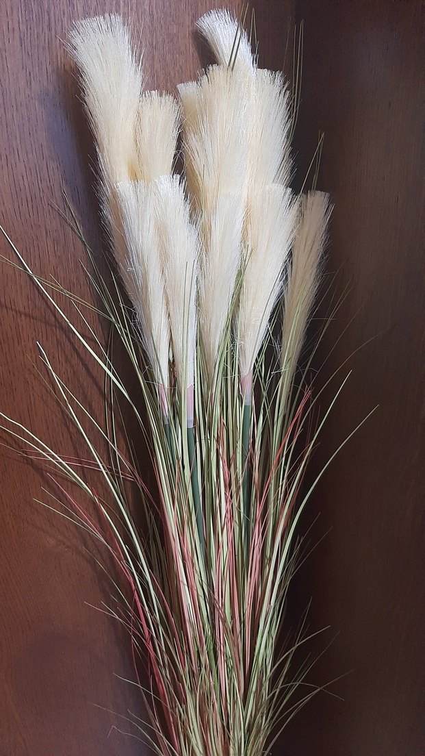 Bej Dekoratif Kuru pampas Aranjmanı - Görsel 4