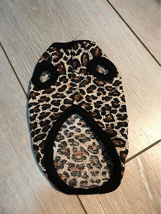  Kedi leoparlı kıyafet