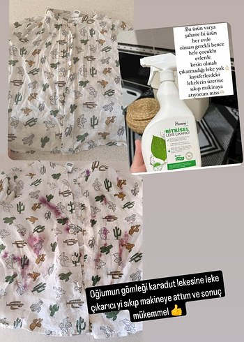 homm clean leke çıkarıcı - Görsel 2