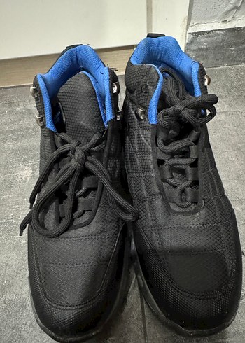 Highlands Greek erkek bot