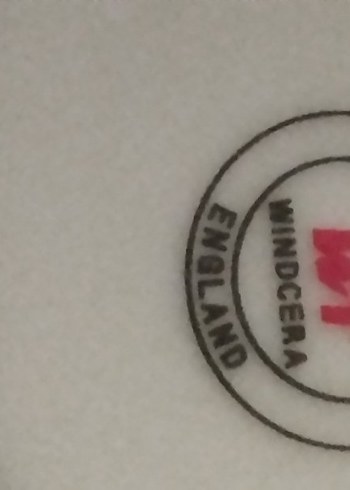 Yeşil Pastel Fincan ve Tabak Seti - Görsel 5