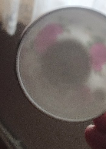 Yumurta kabuğu inceliğinde bir adet fincan ve tabak - Görsel 3