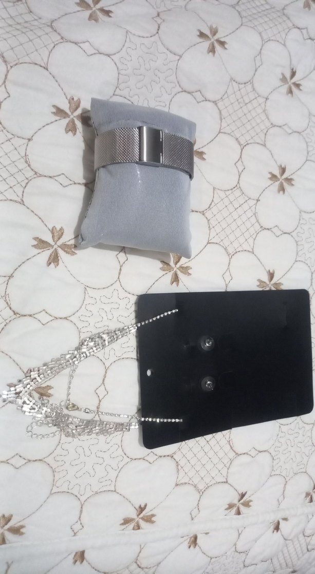 gümüs Renkli erkek Saati ve Parlak kolye ve Küpeler - Görsel 2