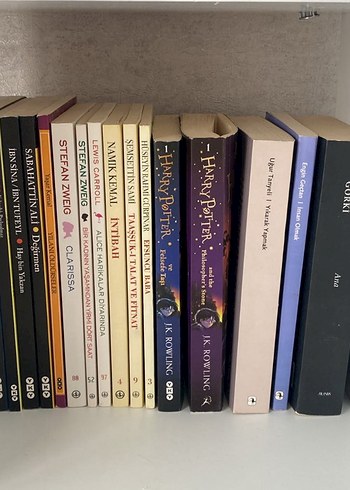 Çeşitli Yazarların Roman ve Eserleri - Görsel 3