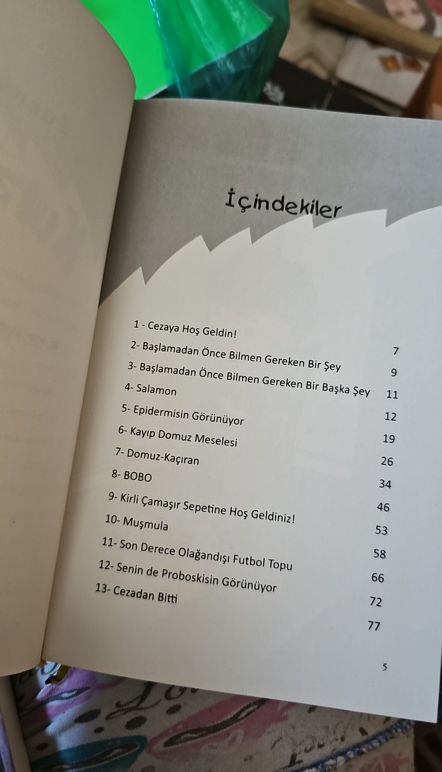 Roscoe Riley Kuralları 2: Ayısını Kaçırma! - Görsel 2