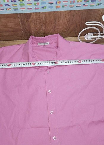 Pastel Pembe Kısa Kollu bayan Gömlek - Görsel 2