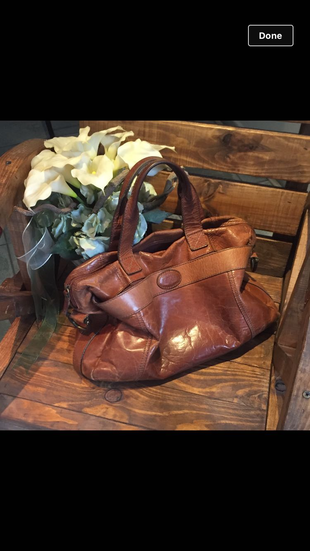 Fossil canta