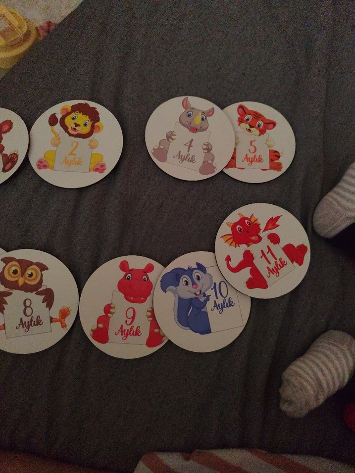 Aylık Bebek Ani Kartları - 12 Adet - Görsel 3