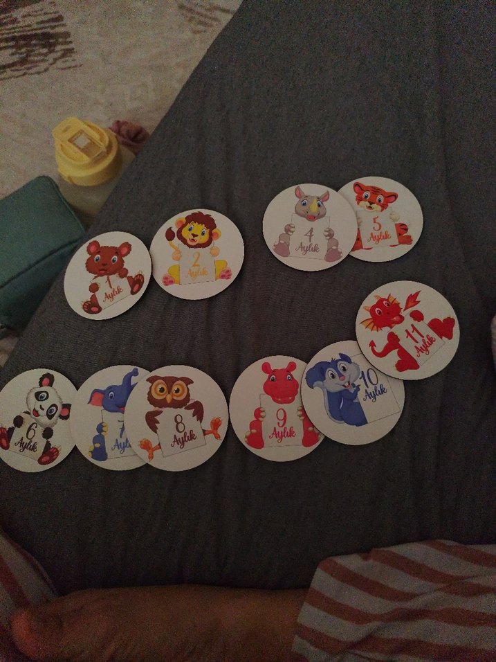 Aylık Bebek Ani Kartları - 12 Adet - Görsel 4