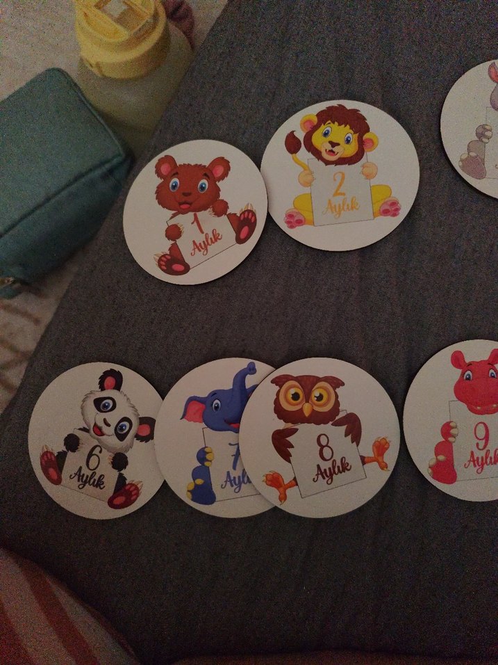 Aylık Bebek Ani Kartları - 12 Adet - Görsel 2