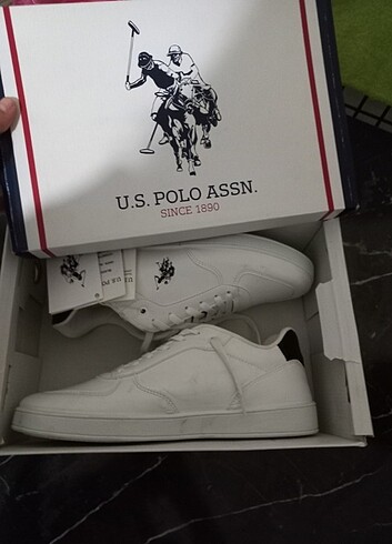 Us polo