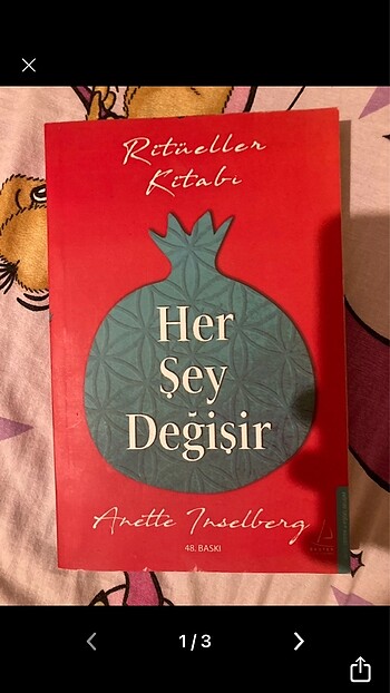 Her şey değişir-kitap