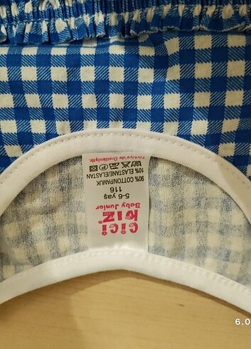 Mavi ekoseli elbise - Görsel 2