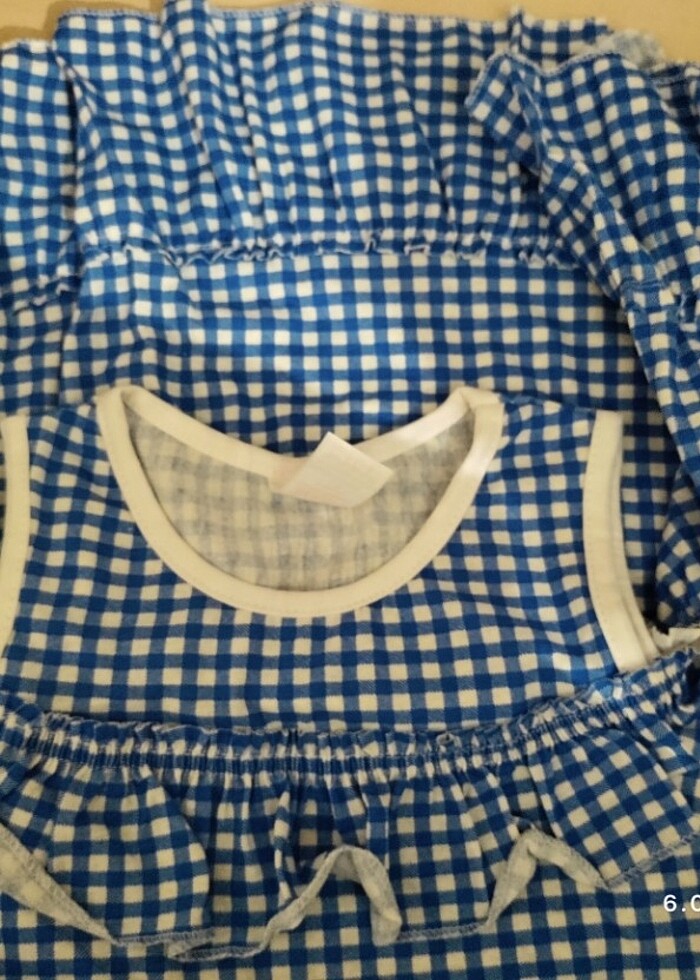 Mavi ekoseli elbise - Görsel 3