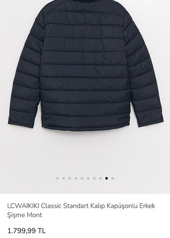 LC Waikiki Erkek Kapüşonlu Şişme Mont - Görsel 2