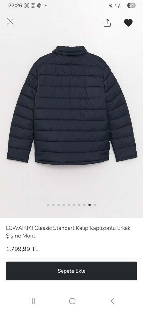 LC Waikiki Erkek Kapüşonlu Şişme Mont - Görsel 2