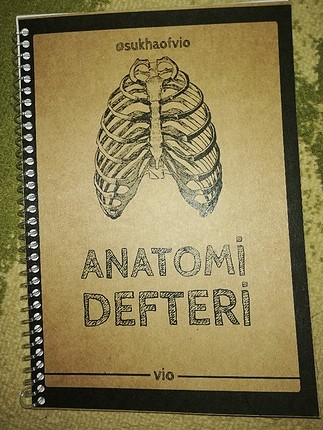 anatomi defteri